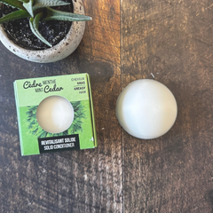 Boite verte de revitalisant en barre et revitalisant en pain présenté sur une planche de bois et une plante.