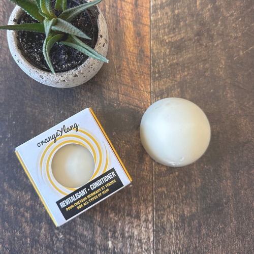 Boite de revitalisant en barre et revitalisant en pain présenté sur une planche de bois et une plante. 