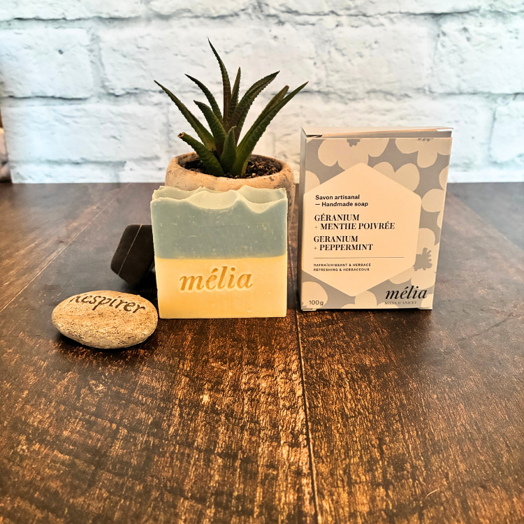 Le savon de la marque Mélia des Miels d'Anicet au géranium et à la menthe et sa boite fleuri déposé sur une planche avec une plante à l'arrière. 