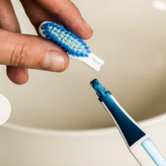 tête de remplacement pour brosse à dent faite au Québec
