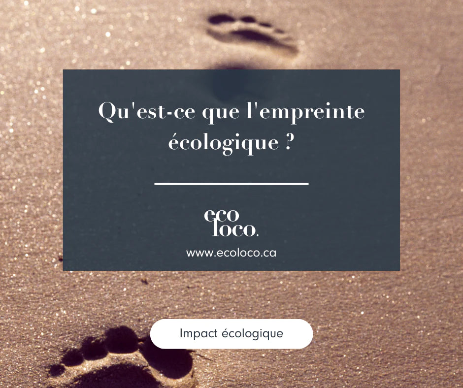 Qu'est-ce que l'empreinte écologique? 