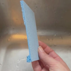 Éponge en cellulose compostable qui se fait gonfler par l'eau 
