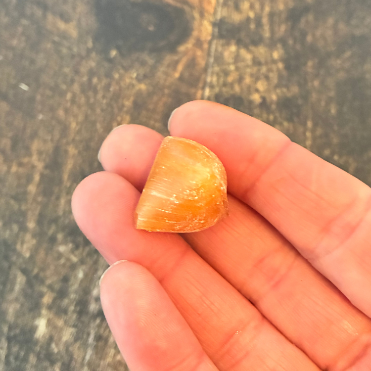 Pastille de propolis et de miel tenu dans une main au-dessus d'une planche de bois. 