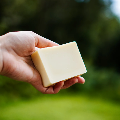 Barre de shampoing mme tignasse vitalité tenu dans une main avec un arrière plant naturel et végétal