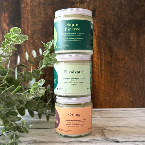 trio de chandelles sapin eucalyptus orange