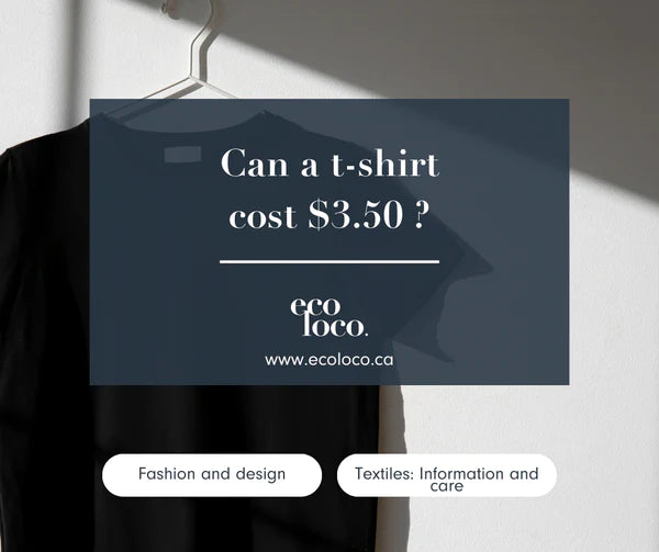  Can a t-shirt cost 3,50$?
