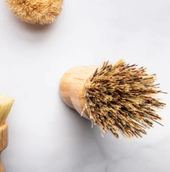 brosse à récurer bois