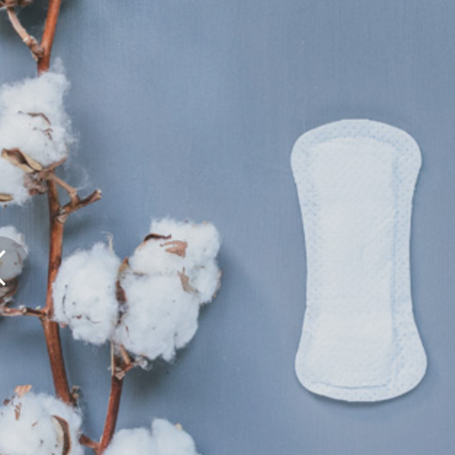 biodegradable panty liners