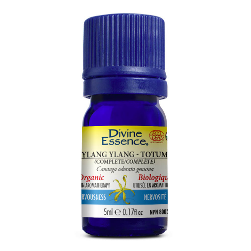 huile essentielle - ylang ylang