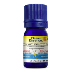 huile essentielle - ylang ylang