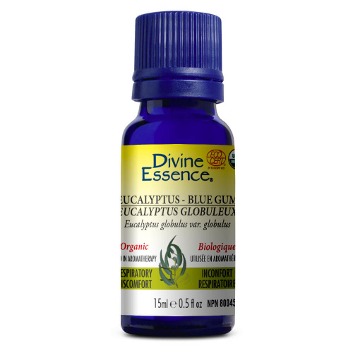 huile essentielle - eucalyptus
