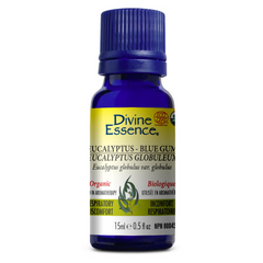 huile essentielle - eucalyptus