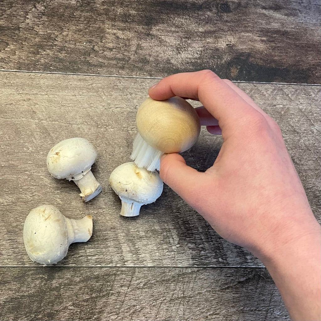 Cuisinox Mushroom Brush with Wooden Top