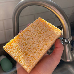 natural fiber scouring sponge