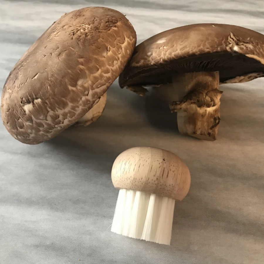 Brosse à champignons en bois – Eco Loco